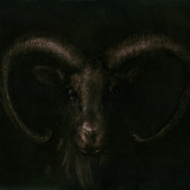 mouflon ismael maurey