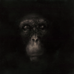 A 1 5 Singe 2 ismael maurey Ismaël Maurey Portfolio
