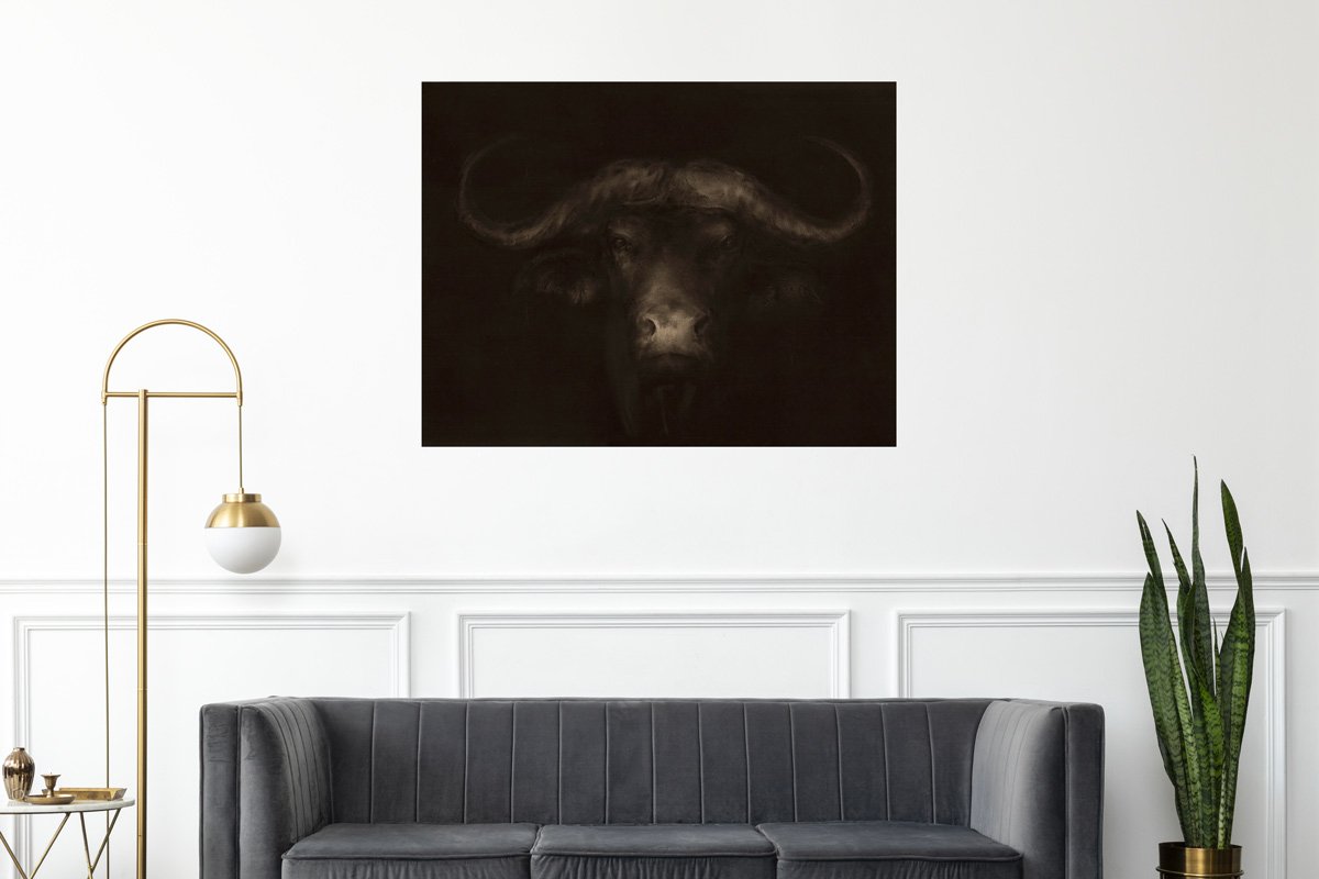 Buffle d'Afrique 2 – Image 2