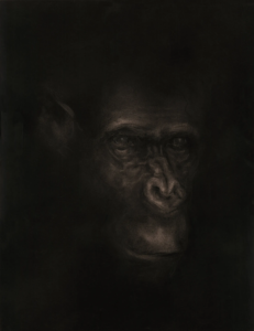 singe 3 totem