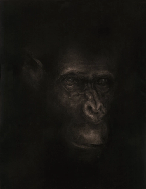 singe 3 totem