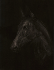 Cheval-1