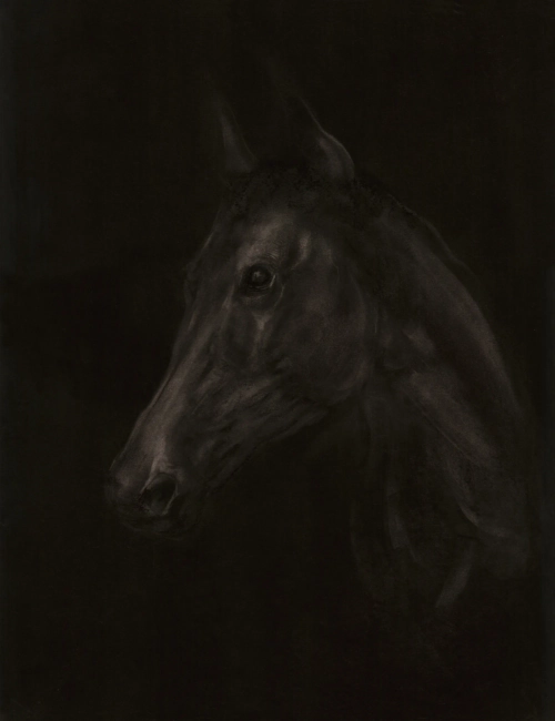 Cheval-1